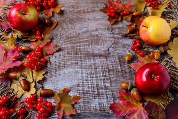 Concept de récolte abondante avec des pommes, des glands, des baies et des feuilles mortes