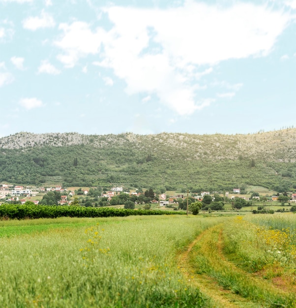 Concept Rural Avec Petit Village