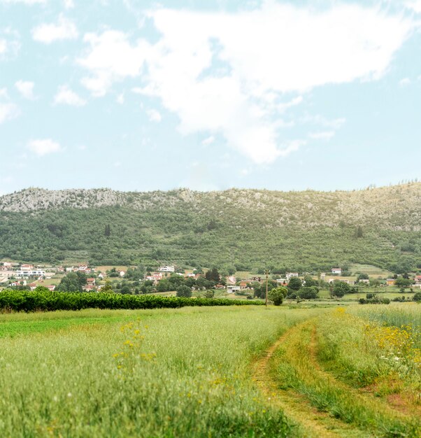 Concept rural avec petit village