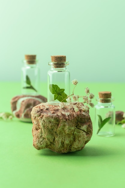 Concept sain de cosmétiques bio bio avec des plantes naturelles en bouteilles photo de haute qualité