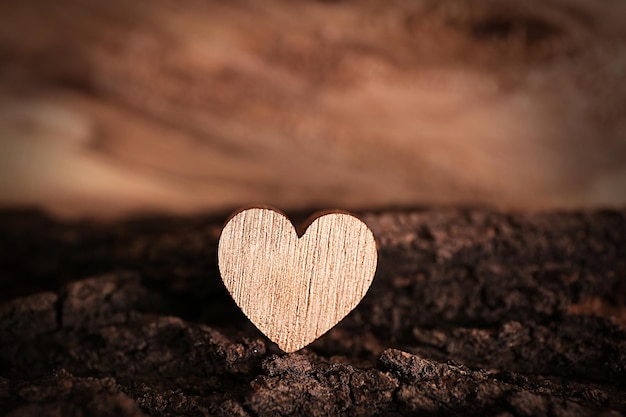 Concept de la Saint-Valentin Coeur d'amour sur fond de bois