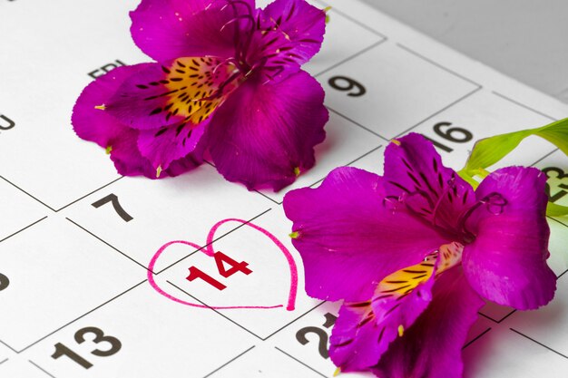 Concept de la Saint-Valentin. Fleurs fraîches avec numéro 14 de février