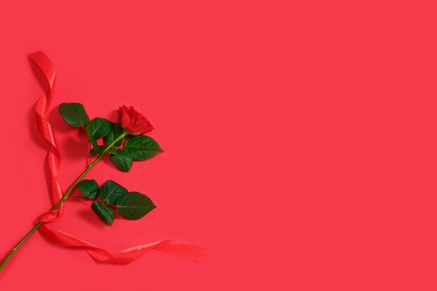 Concept de la Saint-Valentin avec rose rouge et ruban sur fond rouge.