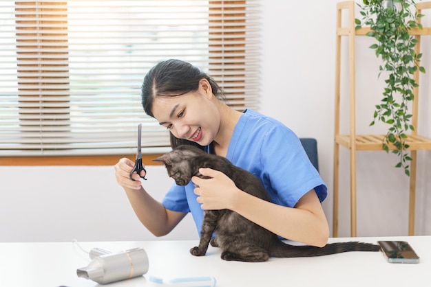 Concept de salon pour animaux de compagnie Femme vétérinaire utilisant des ciseaux pour couper la fourrure du chat dans le salon