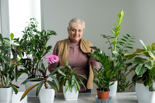 concept de soins aux personnes, aux travaux ménagers et aux plantes - femme âgée arrosant des plantes d'intérieur à la maison.