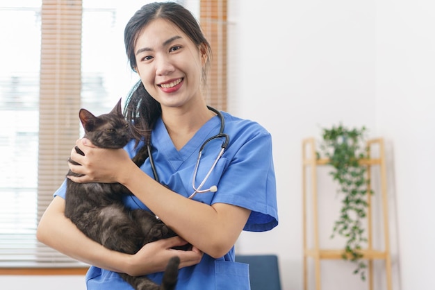 Concept de soins pour animaux de compagnie Vétérinaire femelle jouant et étreignant un chat mignon après avoir examiné un chat de santé