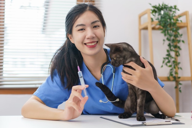 Concept de soins pour animaux de compagnie Une vétérinaire prépare les vaccinations pour injecter le chat dans une clinique vétérinaire