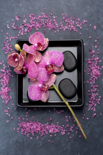 Concept de spa avec fleurs d'orchidées et pierres zen