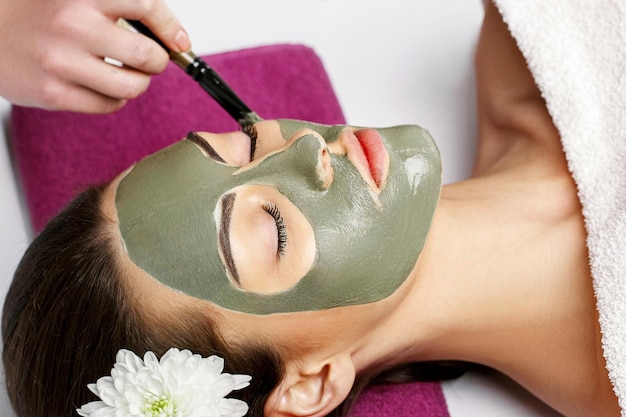 Concept de spa Main appliquant un masque nourrissant sur le visage féminin dans le spa