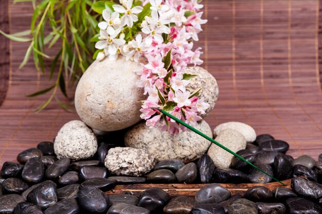 Concept de spa avec des pierres zen sur l&#39;eau, des fleurs et du bambou