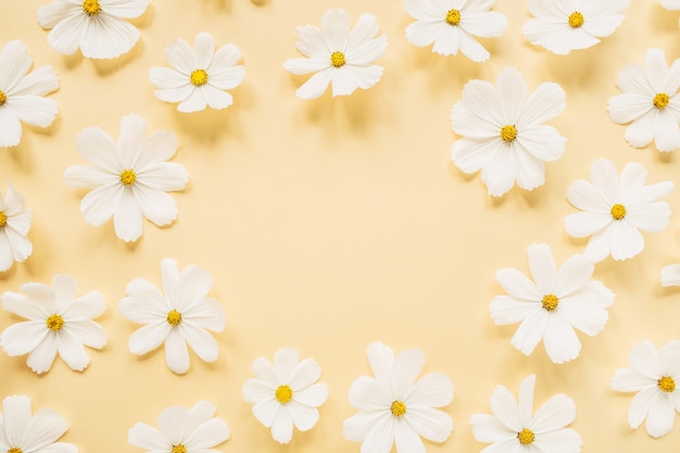 Concept de style minimal. Guirlande faite de fleurs de camomille marguerite blanche sur jaune pâle