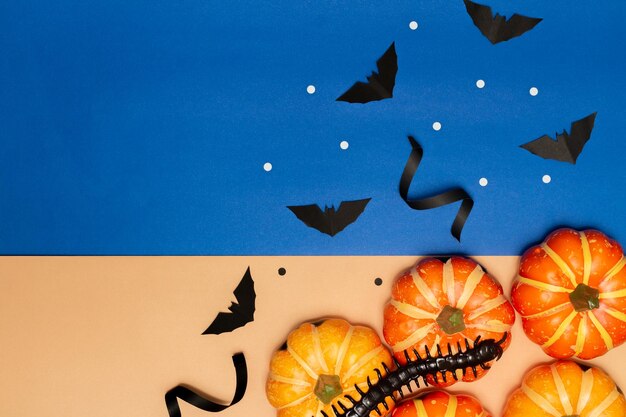 Concept de symbole d'Halloween Mille-pattes sur des citrouilles de sourire effrayant avec des chauves-souris sur fond bleu et crème