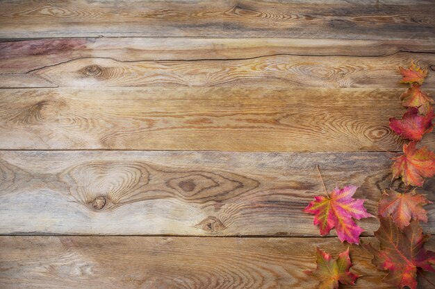 Concept de Thanksgiving avec des feuilles d'érable automne sur fond en bois