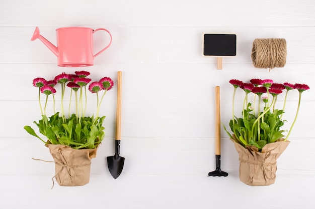 Concept de travaux de jardin de printemps. Outils de jardinage, fleurs en pot et arrosoir sur tableau blanc. vue de dessus, pose à plat
