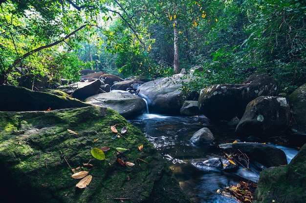 Concept de voyage du parc national de la cascade de Khao Chamao aime la nature