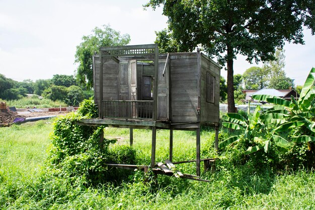 Conception antique extérieure et intérieure d'un bâtiment abandonné maison verte ou Baan khiao sur un pré pour les voyageurs thaïlandais voyage visite Mystérieux mystère dans la ville de Phak Hai à Ayutthaya en Thaïlande