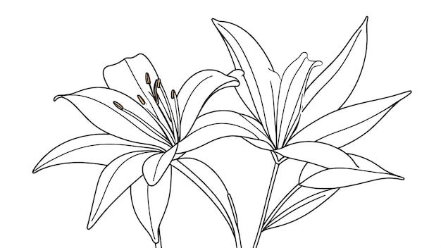 Conception artistique simple et minimale de la ligne de fleurs de lilas pour le livre à colorier