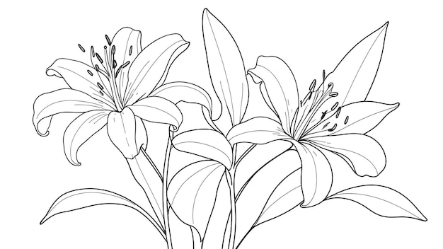 Conception artistique simple et minimale de la ligne de fleurs de lilas pour le livre à colorier