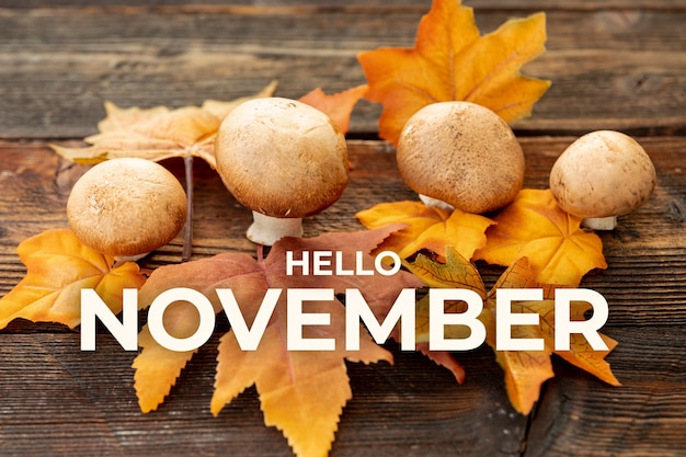 La conception de la bannière Hello November