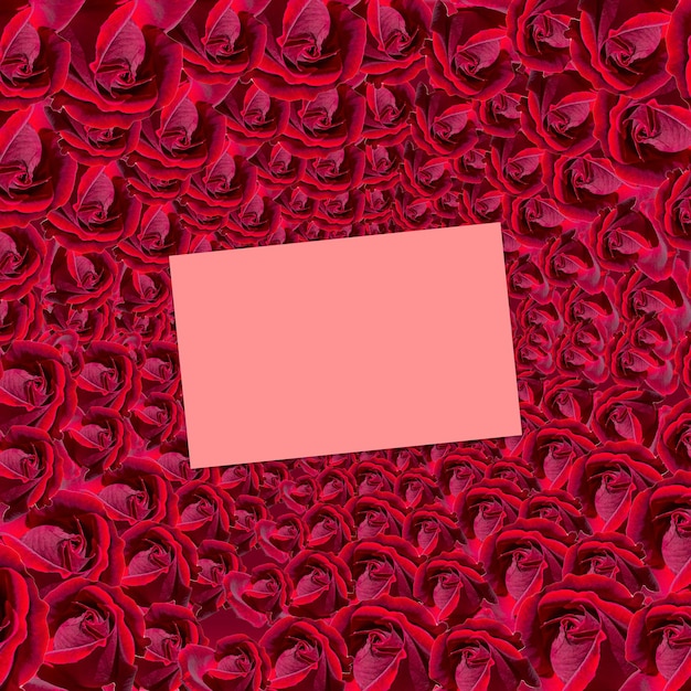 Conception de concept de carte de Saint Valentin avec des roses rouges et espace de copie