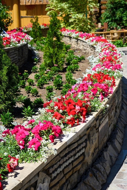 Conception paysagère de l'aménagement paysager du jardin à la maison avec des fleurs et st