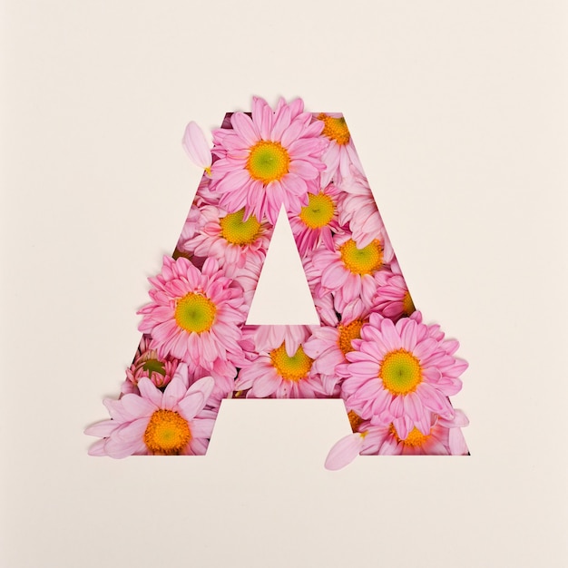 Conception de polices, police de l'alphabet abstrait avec fleur rose, typographie de fleur réaliste - A