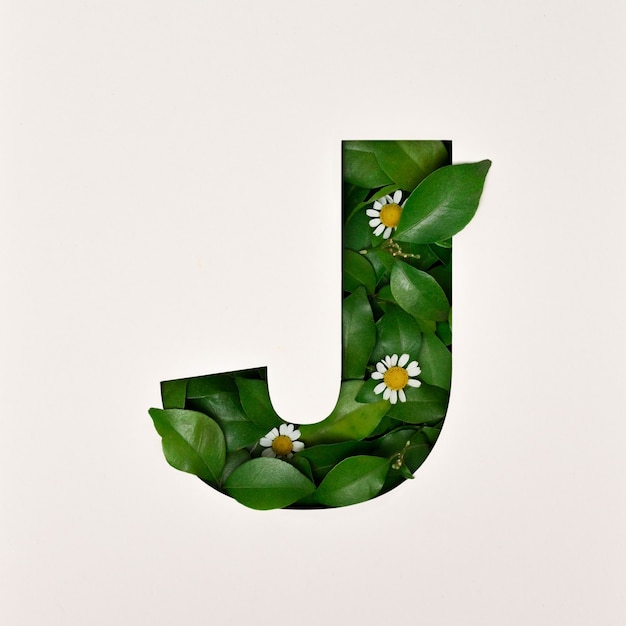 Conception de polices, police alphabet abstraite avec feuilles et fleurs, typographie de feuilles réalistes - J