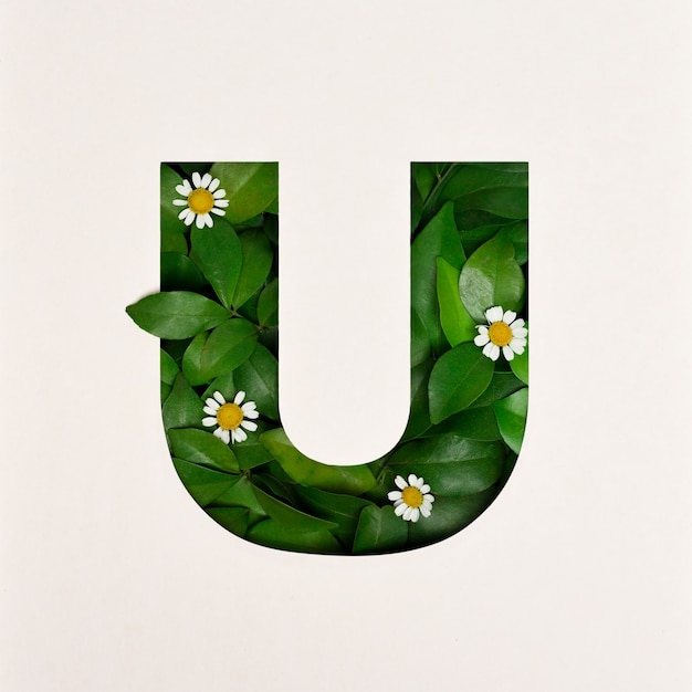 Photo conception de polices, police alphabet abstraite avec feuilles et fleurs, typographie de feuilles réalistes - u