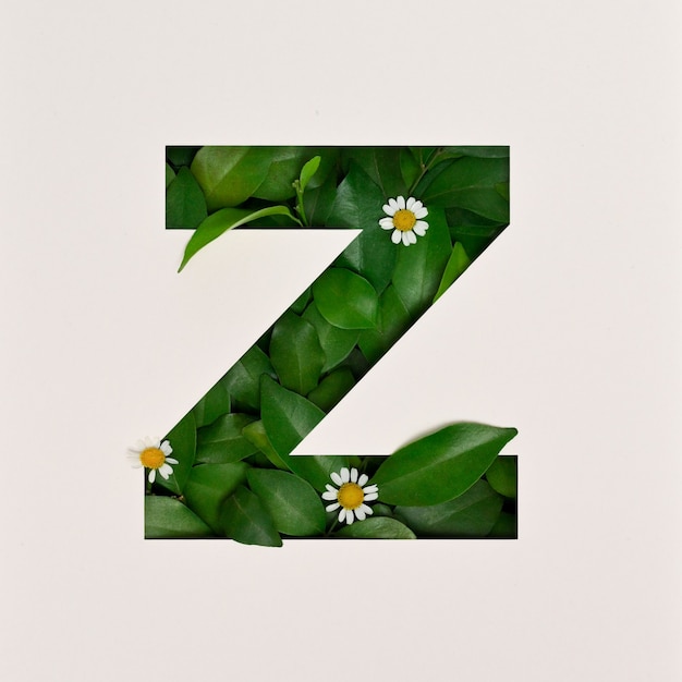 Photo conception de polices, police alphabet abstraite avec feuilles et fleurs, typographie de feuilles réalistes - z