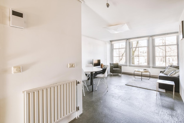 Conception d'un salon combiné avec une salle à manger dans un appartement moderne et lumineux