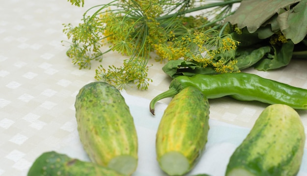 Concombres au piment vert et aux herbes sur la table préparés pour la conservation Mise au point sélective Préparations d'automne pour la récolte