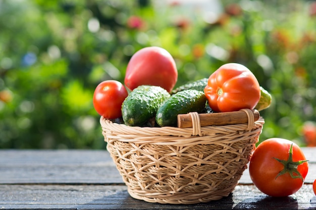 Concombres faits maison et tomates dans un panier en bois dans le jardin