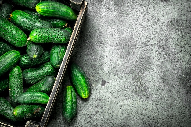 Concombres frais dans une vieille boîte.