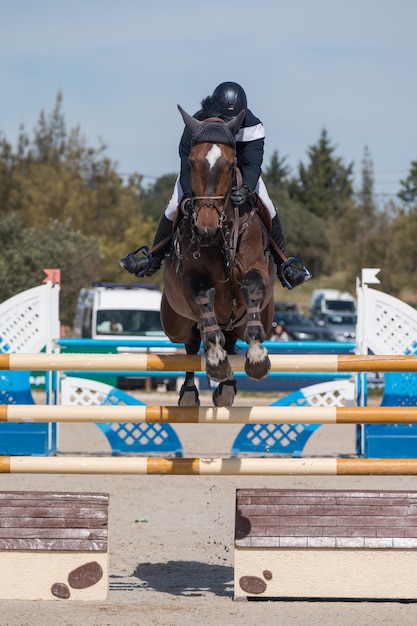 Concours de saut d&#39;obstacles