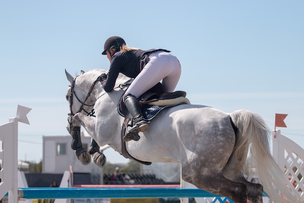 Concours de saut d&#39;obstacles