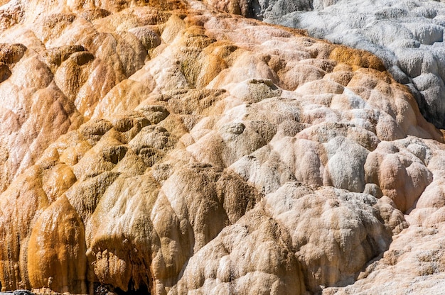 Concrétions de travertin de Mammoth Hot Springs dans le Parc National de Yellowstone