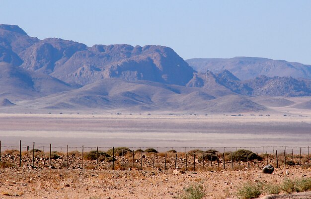 Conditions difficiles de la savane chaude