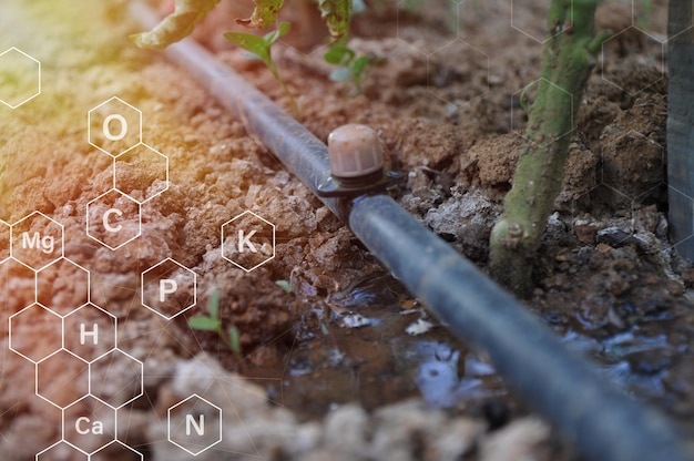 Une conduite d'eau est représentée dans un jardin avec les lettres p, k, k, k, k, k, k, k, k, k, k, k, k, k