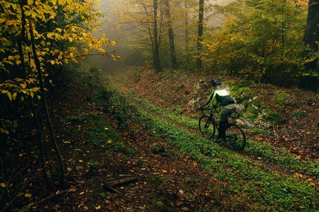 Photo conduite de gravier dans la forêt brumeuse