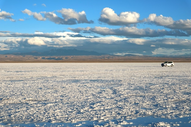 Conduite sur Salar de Uyuni ou Uyuni Salts Flats, Bolivie, Amérique du Sud