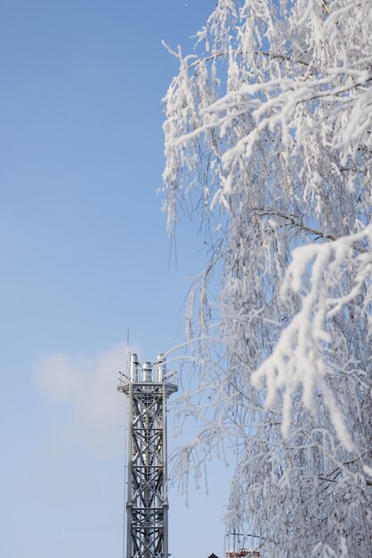 Conduites de gaz sur fond d'arbres couverts de neige et de givre