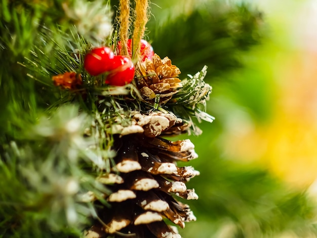 Photo cône de pin brun décoratif sur arbre vert