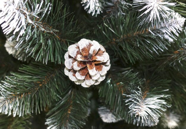 Photo une cône de pin décore une branche d'un arbre de noël