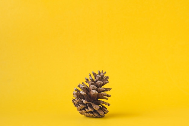 Cône de pin sur fond jaune, décoration de Noël.