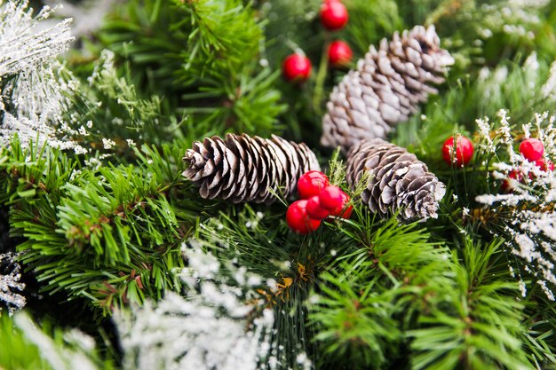 Cônes sur les branches vertes de l&#39;arbre de Noël. Décorations du Nouvel An