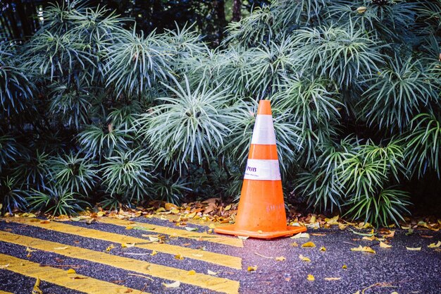 Photo les cônes de circulation dans les rues de la ville