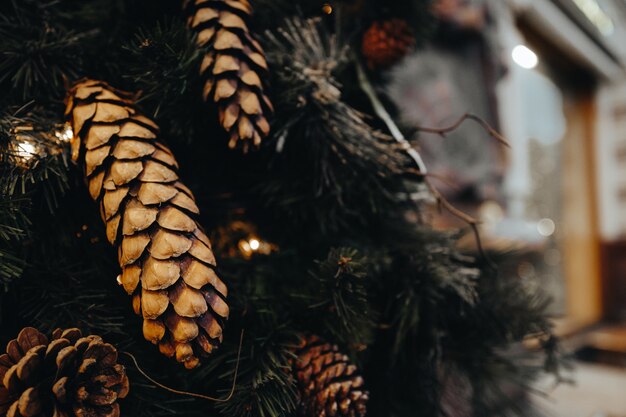 Photo cônes forestiers sur l'arbre de noël. composition du nouvel an. ambiance festive. concept de vacances d'hiver