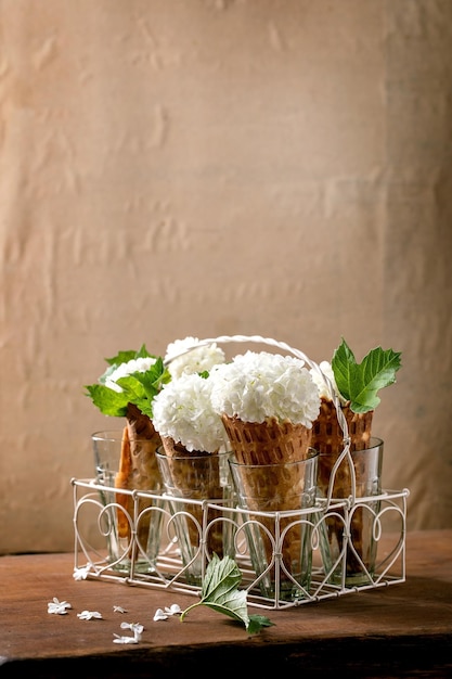 Cônes gaufrés aux fleurs blanches