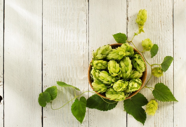 Cônes de houblon sur bois