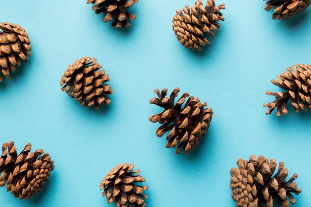 Cônes de pin sur table de couleur fond naturel de vacances avec des pommes de pin regroupées Concept d'hiver à plat